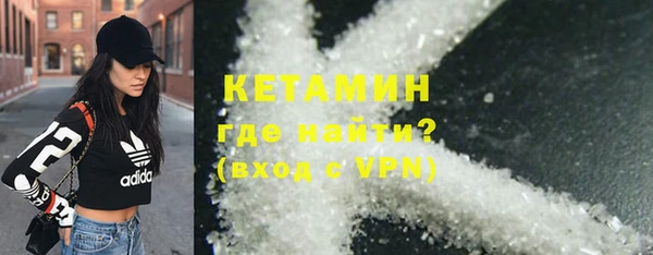 стаф Аркадак