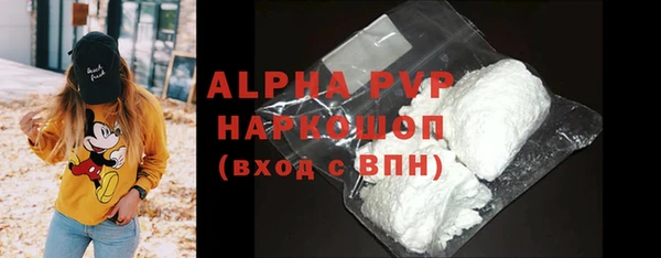 стаф Аркадак