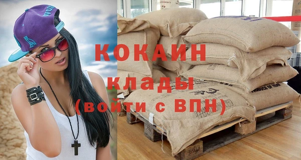стаф Аркадак