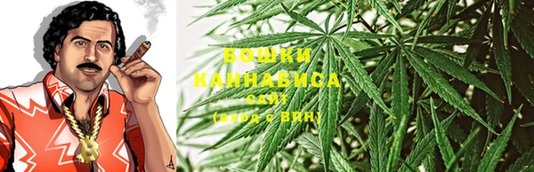 стаф Аркадак