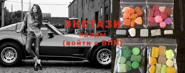 стаф Аркадак