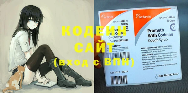 стаф Аркадак