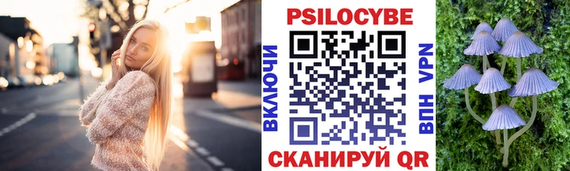 Галлюциногенные грибы Psilocybe  Саяногорск 